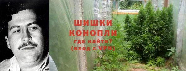 спиды Богородицк